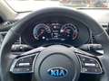 Kia XCeed 1.4 T-GDI Platinum Edition ACC PDC KAM NAV Amarillo - thumbnail 12