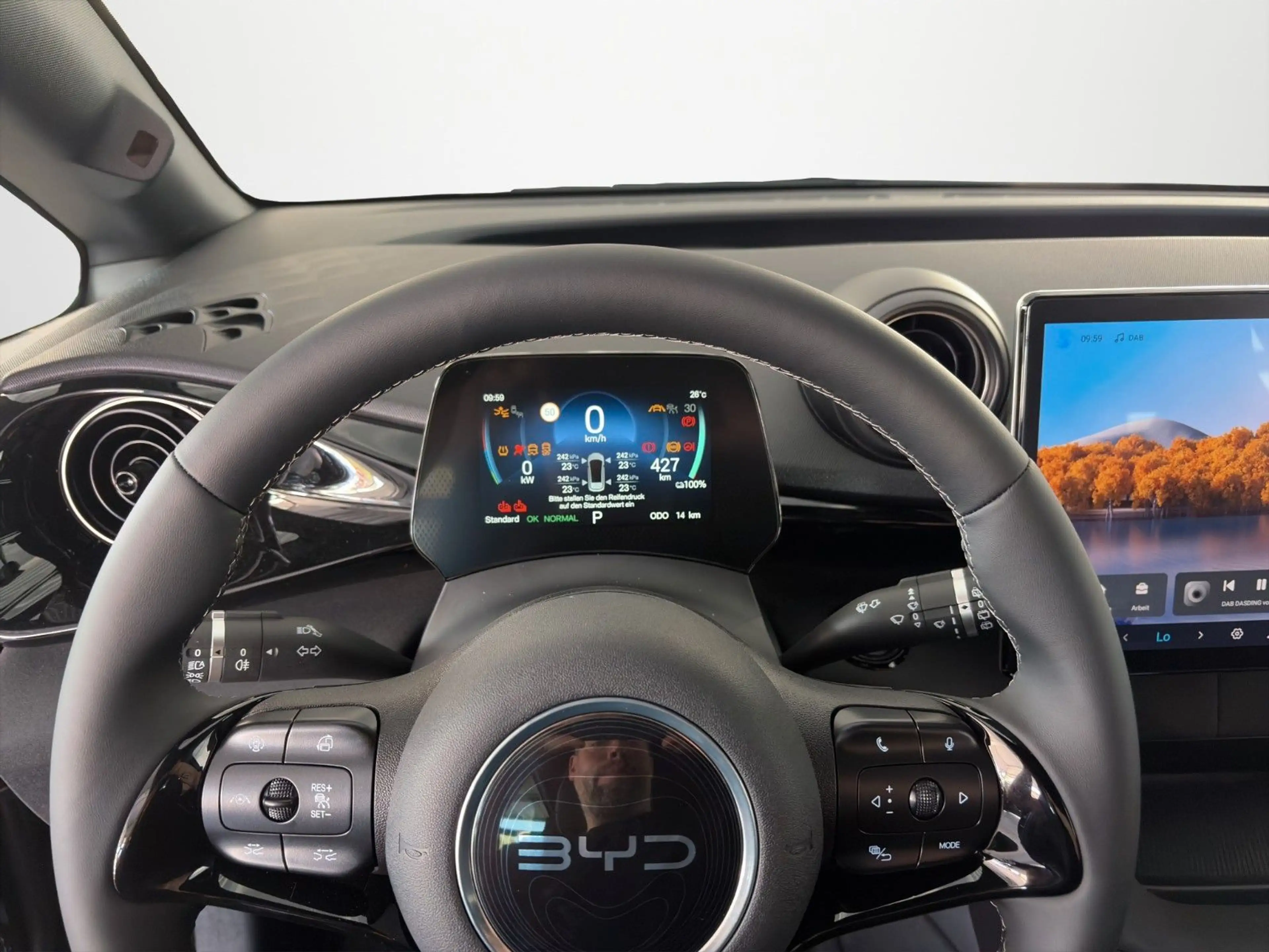 BYD Dolphin Design/LEDER/360°/PANO-DA/ACC/SHZ — photo 7