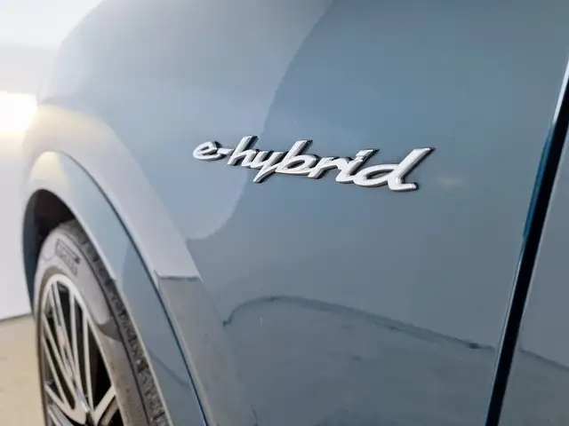 Porsche Cayenne E-Hybrid Ansicht 10