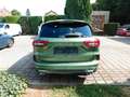 Ford Kuga ST-Line X Verde - thumbnail 6
