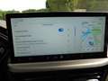 Ford Kuga ST-Line X Verde - thumbnail 14