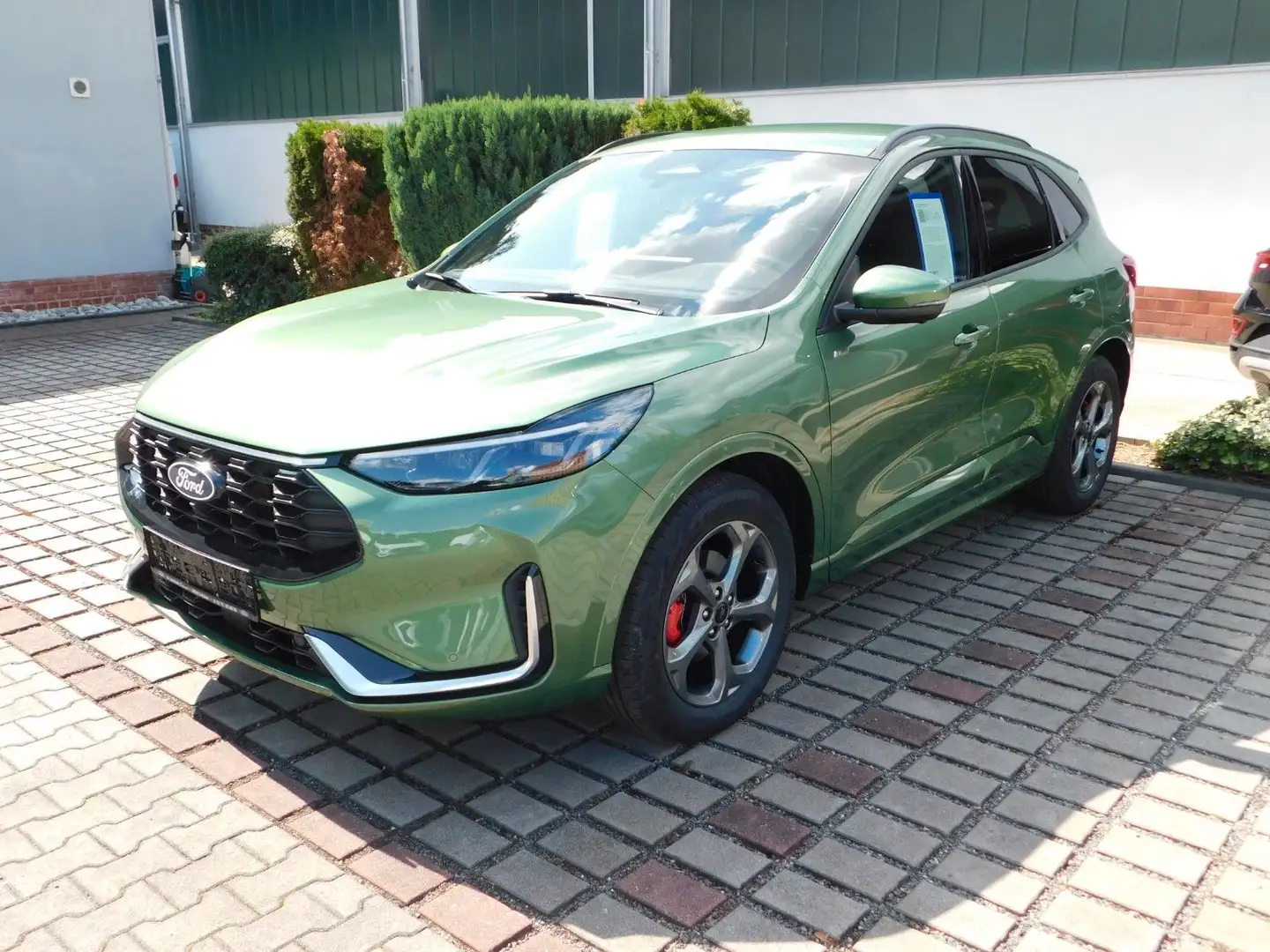 Ford Kuga ST-Line X Verde - 1