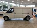DFSK VAN 2 Places Caméra 2 Portes Lat. Clim. Bluetooth  Blanc - thumbnail 3