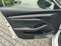 Mazda 3 2.5L e-SKYACTIV G FWD Homura Weiß - thumbnail 14