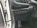 Mazda 3 2.5L e-SKYACTIV G FWD Homura Weiß - thumbnail 19