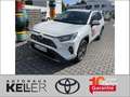 Toyota RAV 4 2.5 4x2 Hybrid Team Deutschland - thumbnail 1
