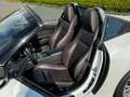 BMW Z4 Roadster SDrive18i navi Xenon stuur-stoelverwarmin bijela - thumbnail 22