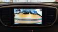 Kia Sportage 1.6 crdi mhev Business Class 2wd dct PREZZO REALE Nero - thumbnail 21