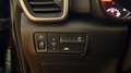 Kia Sportage 1.6 crdi mhev Business Class 2wd dct PREZZO REALE Nero - thumbnail 12