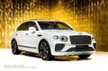 Bentley Bentayga HYBRID + CAMERA + PANORAMA + White - thumbnail 1