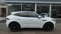 Jaguar E-Pace 1.5 P300e PHEV 309 PK  AWD-R DYNAMIC * Panodak* Na Blanc - thumbnail 2