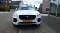 Jaguar E-Pace 1.5 P300e PHEV 309 PK  AWD-R DYNAMIC * Panodak* Na Blanc - thumbnail 5