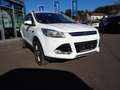 Ford Kuga 2,0 TDCi Titanium Weiß - thumbnail 2