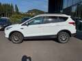 Ford Kuga 2,0 TDCi Titanium Weiß - thumbnail 4