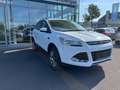 Ford Kuga 2,0 TDCi Titanium Weiß - thumbnail 7