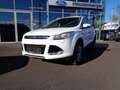 Ford Kuga 2,0 TDCi Titanium Weiß - thumbnail 1