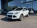 Ford Kuga 2,0 TDCi Titanium Weiß - thumbnail 3