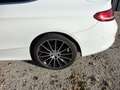 Mercedes-Benz C 220 220 D 170CH AMG LINE 9G-TRONIC Weiß - thumbnail 14