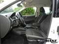 Skoda Fabia Combi Ambition 1.0 TSI RFK GRA PDC Weiß - thumbnail 11