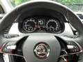 Skoda Fabia Combi Ambition 1.0 TSI RFK GRA PDC Weiß - thumbnail 17
