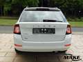 Skoda Fabia Combi Ambition 1.0 TSI RFK GRA PDC Weiß - thumbnail 5