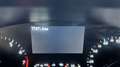 Ford Focus Focus Active 1.0 HYBRID Style 125cv - SEDE MELITO Grigio - thumbnail 5