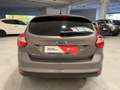 Ford Focus Focus III 2011 5p 1.6 Plus Gpl 120cv Gris - thumbnail 5