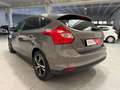 Ford Focus Focus III 2011 5p 1.6 Plus Gpl 120cv Gris - thumbnail 4