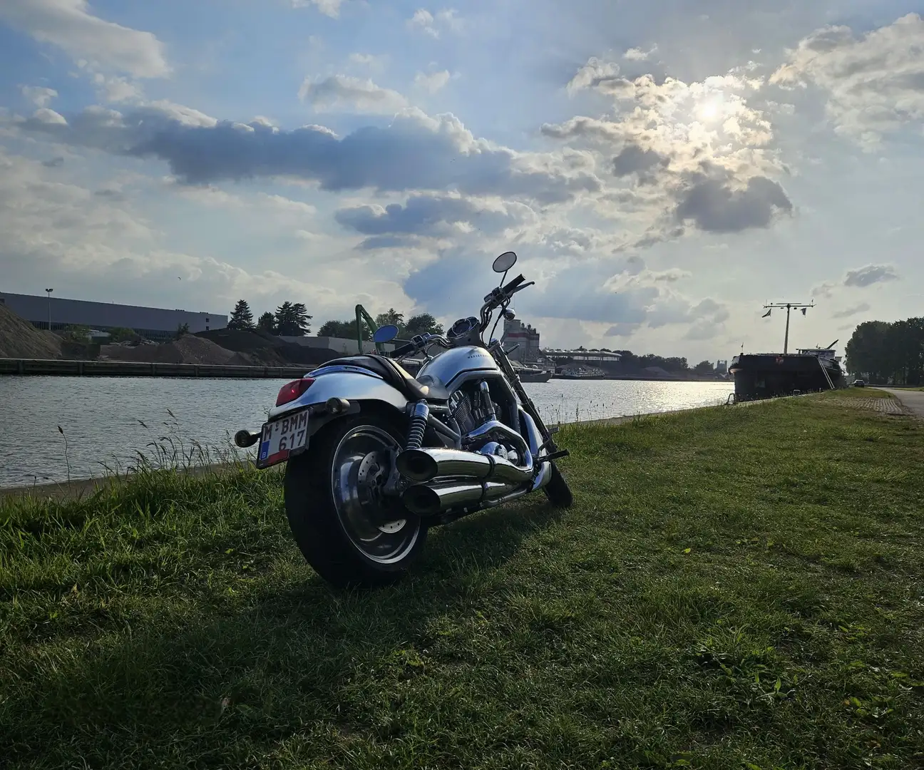 Harley-Davidson V-Rod Silber - 2