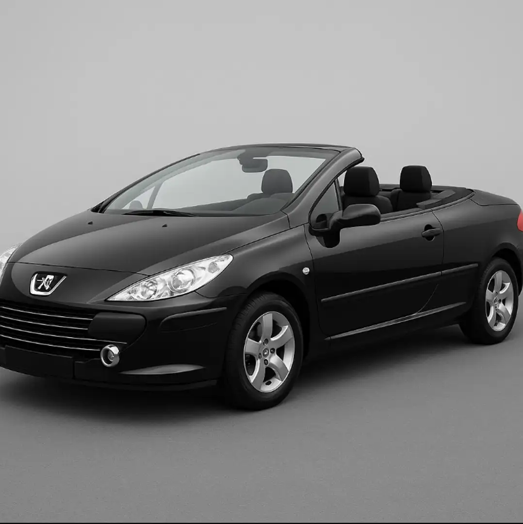 Peugeot 307 Tendance Schwarz - 2