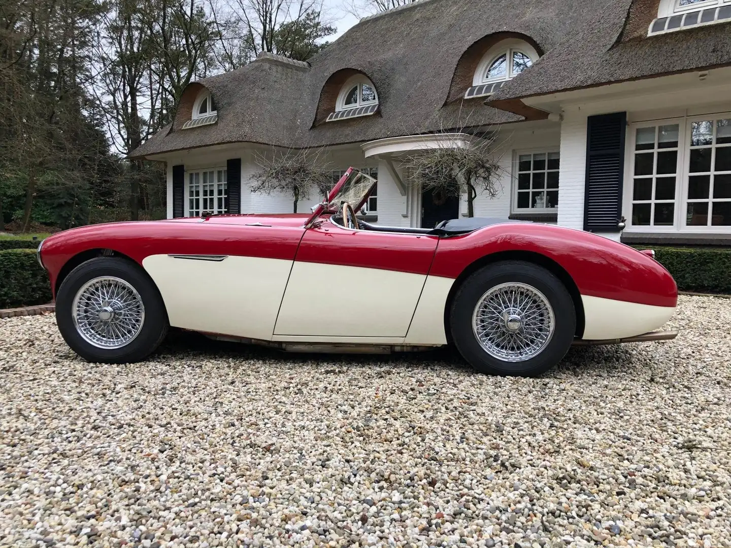 Austin 100 Le Mans Mille Miglia Teilnehmer Rood - 1