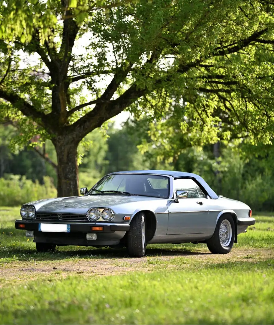 Jaguar XJS V12 - 2