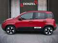 Fiat Panda Fiat Pandina Cross Rot - thumbnail 2