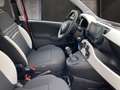 Fiat Panda Fiat Pandina Cross Rot - thumbnail 7