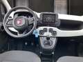 Fiat Panda Fiat Pandina Cross Rot - thumbnail 6