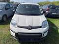 Fiat Panda 1.0 FireFly Hybrid Pop Weiß - thumbnail 2