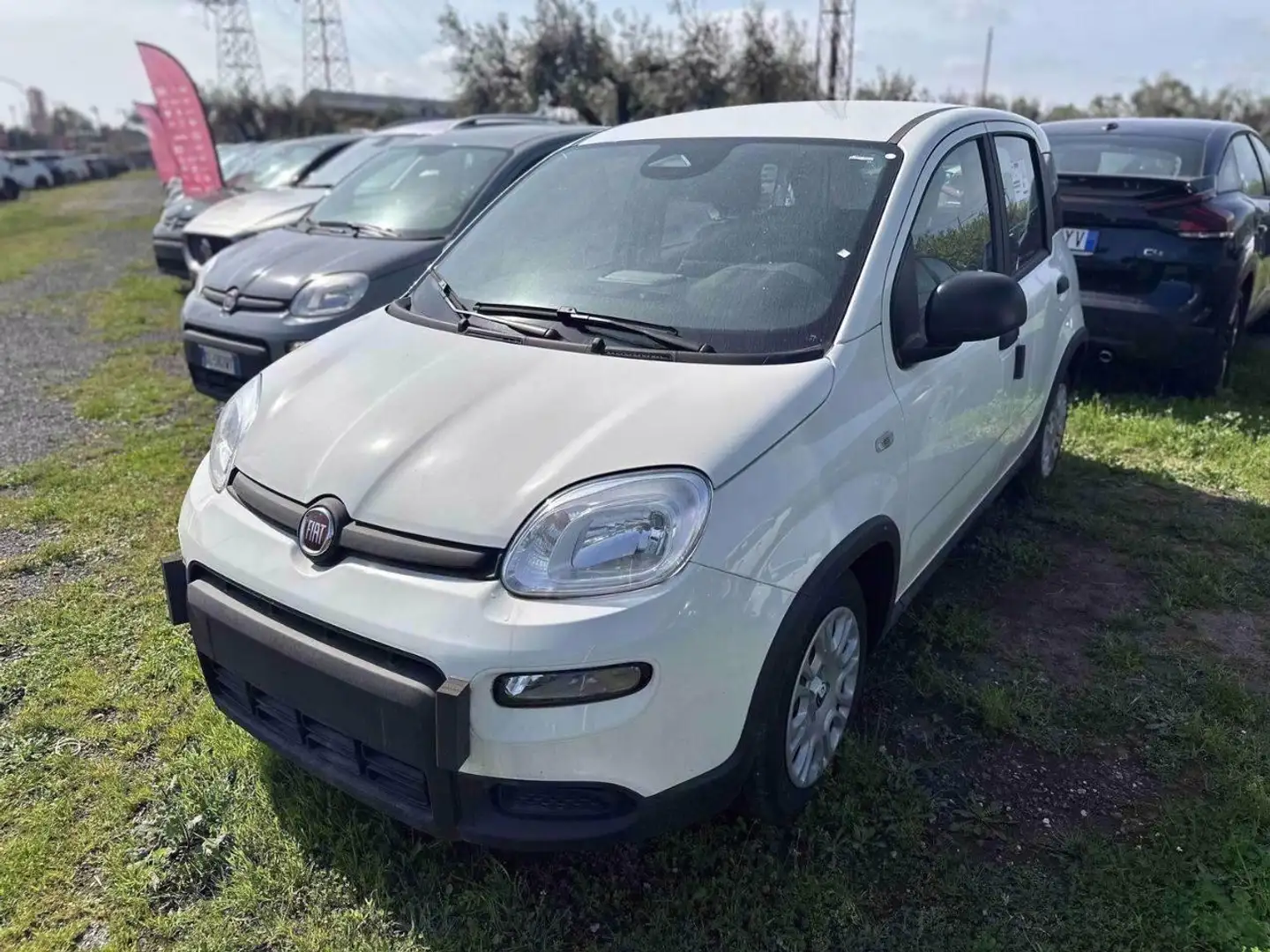 Fiat Panda 1.0 FireFly Hybrid Pop Weiß - 1