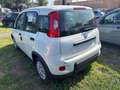 Fiat Panda 1.0 FireFly Hybrid Pop Weiß - thumbnail 5