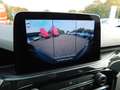 Ford Kuga KUGA PHEV ST-LINE X el.AHK+iACC+BLIS+HUD+vollLED Gris - thumbnail 14