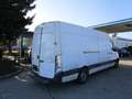 Mercedes-Benz Sprinter Heck 316 CDI 3,5t / 4.325 mm Weiß - thumbnail 5