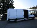 Mercedes-Benz Sprinter Heck 316 CDI 3,5t / 4.325 mm Weiß - thumbnail 14
