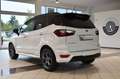 Ford EcoSport 1.0 ST-Line~Navi~SHD~Xenon~Apple~Leder Weiß - thumbnail 3