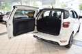 Ford EcoSport 1.0 ST-Line~Navi~SHD~Xenon~Apple~Leder Weiß - thumbnail 24