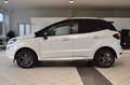 Ford EcoSport 1.0 ST-Line~Navi~SHD~Xenon~Apple~Leder Weiß - thumbnail 5