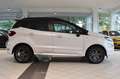 Ford EcoSport 1.0 ST-Line~Navi~SHD~Xenon~Apple~Leder Weiß - thumbnail 6