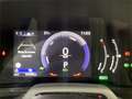 Lexus UX 300h 2.0  Plus - thumbnail 14