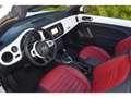 Volkswagen Coccinelle Coccinelle Cabriolet 1.4 16V TSI - 160 - BV DSG 7 COCCINELLE  CABRIOLET Vintage PHASE 1 Blanc - thumbnail 18