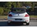 Volkswagen Coccinelle Coccinelle Cabriolet 1.4 16V TSI - 160 - BV DSG 7 COCCINELLE  CABRIOLET Vintage PHASE 1 Blanc - thumbnail 9