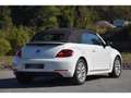 Volkswagen Coccinelle Coccinelle Cabriolet 1.4 16V TSI - 160 - BV DSG 7 COCCINELLE  CABRIOLET Vintage PHASE 1 Blanc - thumbnail 2