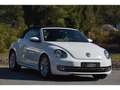 Volkswagen Coccinelle Coccinelle Cabriolet 1.4 16V TSI - 160 - BV DSG 7 COCCINELLE  CABRIOLET Vintage PHASE 1 Weiß - thumbnail 6
